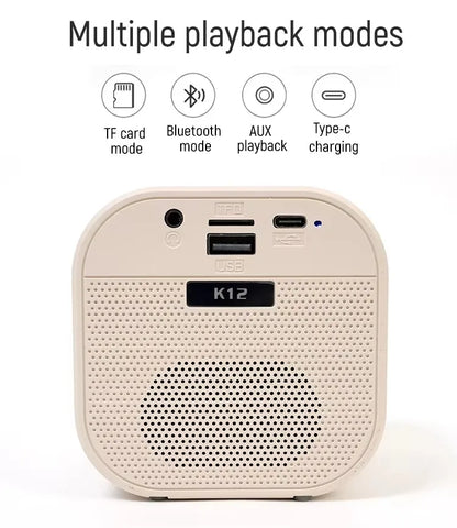 Portable Wireless Karaoke Speaker with Dual Microphones – Kids Singing System